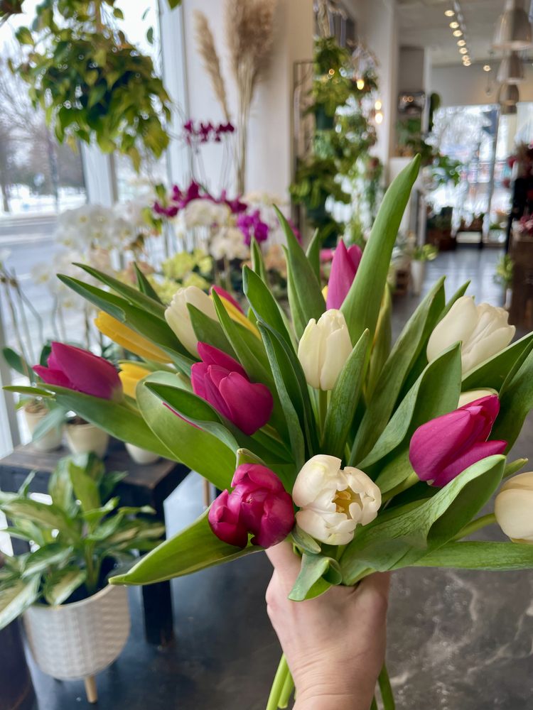 FLEURISTE DAMES D’ALCANTARA Updated September 2024 Request