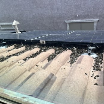 Pigeon Pros - Pigeon poop - Solar panels are mounted on a tiled roof, with pigeon droppings and debris visible around the mounting hardware. - Pest Control Near Me - Mesa, Arizona