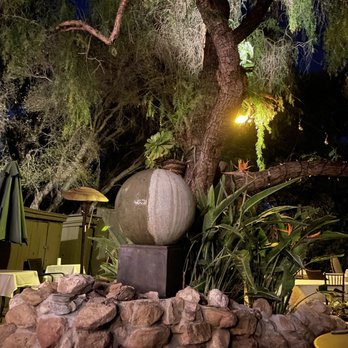 Saddle Peak Lodge - Cool tree we sat next to. - New American Near Me - Calabasas, California