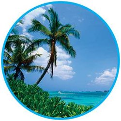 Paradise Palms Insurance Agency