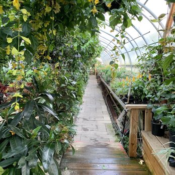Logee's Greenhouses - Nurseries & Gardening Near Me - Danielson, Connecticut