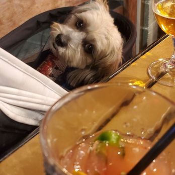 Finney's Crafthouse - Burbank - And dog friendly:) - New American Near Me - Burbank, California
