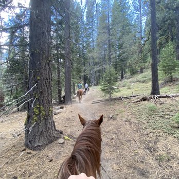 Alpine Meadows Stables - Horses on trail - Horseback Riding Near Me - Tahoe City, California Alpine Meadows Stables - Horses on trail - Horseback Riding Near Me - Tahoe City, California