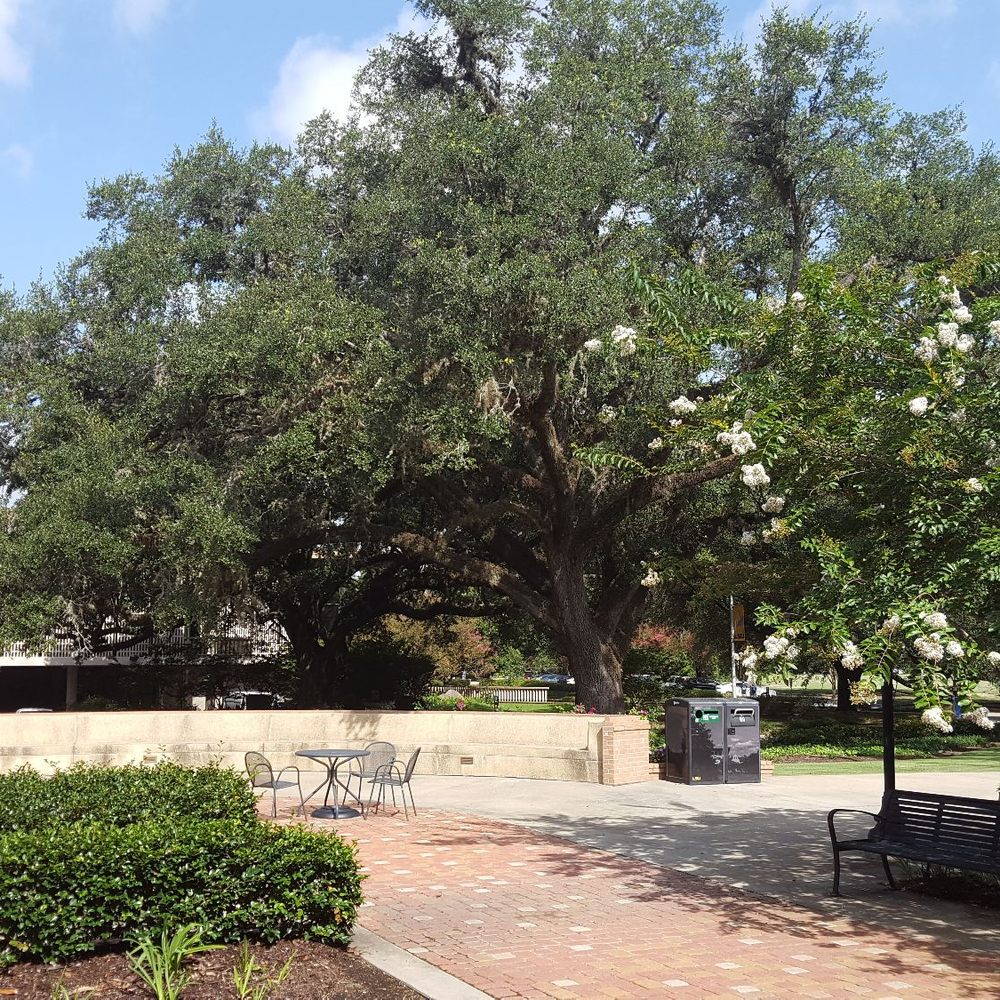 LSU Parade Grounds - Colleges & Universities Near Me - Baton Rouge, Louisiana LSU Parade Grounds - Colleges & Universities Near Me - Baton Rouge, Louisiana