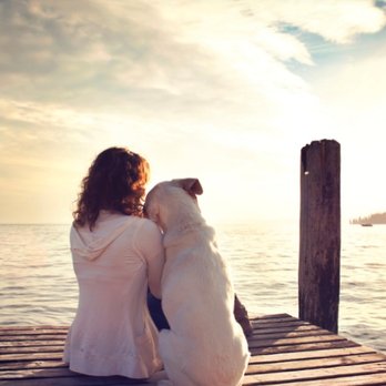 Horizon - Pet Cremation Services Near Me - Phoenix, Arizona Horizon - Pet Cremation Services Near Me - Phoenix, Arizona