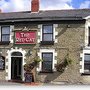 Photo of The Red Cat