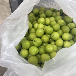 Almadina Imported Foods-Hala Meats - Sour plums