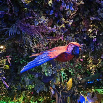 Rainforest Cafe - American Near Me - Ontario, California