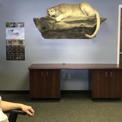 Fish and Wildlife - CDFW Employee and her buddy, Cougar!