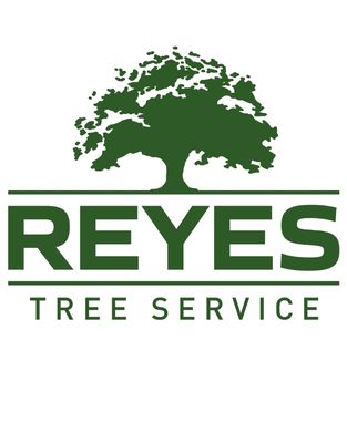 Reyes Tree Service on Yelp