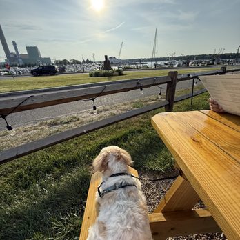 Pilot House - Outdoor seating area- pet friendly - Seafood Near Me - Sandwich, Massachusetts
