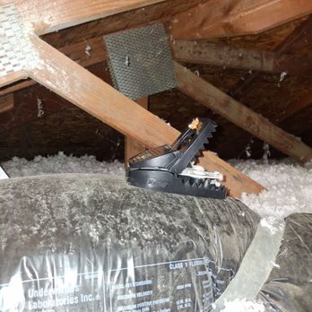 Attic Pros - Snap trap - Pest Control Near Me - Oakland, California