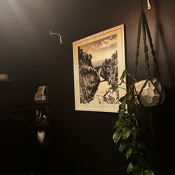 Uprooted Beauty Collective 