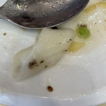 Minghin Cuisine - Talking about the Freshness of vegetable - Dim Sum Near Me - Naperville, Illinois Minghin Cuisine - Talking about the Freshness of vegetable - Dim Sum Near Me - Naperville, Illinois