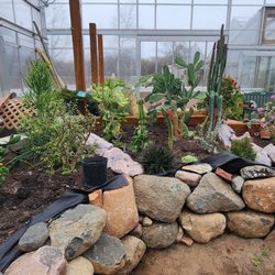 Wayne's Nursery & Greenhouse Garden Center - The new conservatory they are working on
