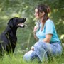 Photo of Koda's Canine Academy