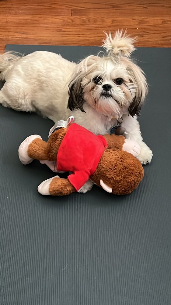 PINKY BLUE GROOMING Updated September 2024 28 Photos & 11 Reviews