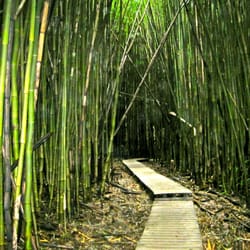 Journey to OM - The path towards healing is a path worth walking, not only for you, but for all the lives you touch.