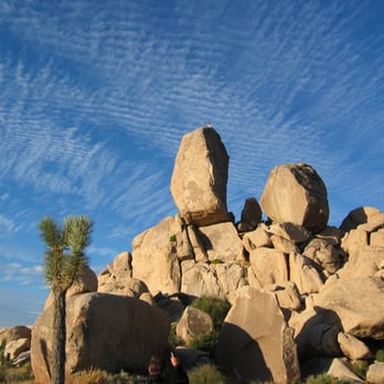 The Climbing Life Guides - ryan rock - Climbing Near Me - Joshua Tree, California