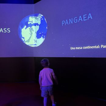 Field Museum - Museums Near Me - Chicago, Illinois