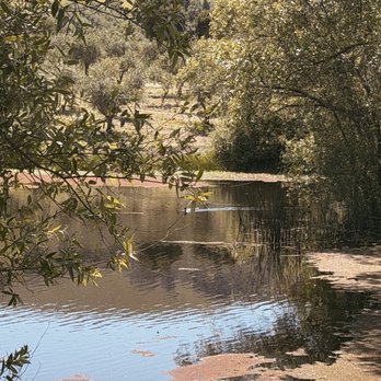 McEvoy Ranch - Nice view of pond. - Wine Tasting Room Near Me - Petaluma, California