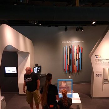 The Discovery - Museums Near Me - Reno, Nevada The Discovery - Museums Near Me - Reno, Nevada