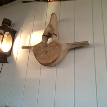 Chart Room - Whale vertebrae on the wall. Lots of fishing/ocean paraphernalia here - Seafood Near Me - Cataumet, Massachusetts Chart Room - Whale vertebrae on the wall. Lots of fishing/ocean paraphernalia here - Seafood Near Me - Cataumet, Massachusetts
