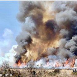 Joplin News First - FB page banner