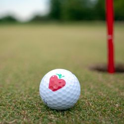 Red Apple Inn & Country Club - Red Apple Inn Golf