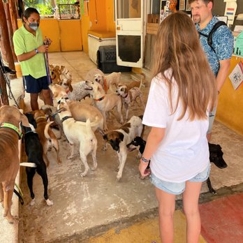 Refugio Animal Holbox - Animal Shelters Near Me - Holbox, ROO