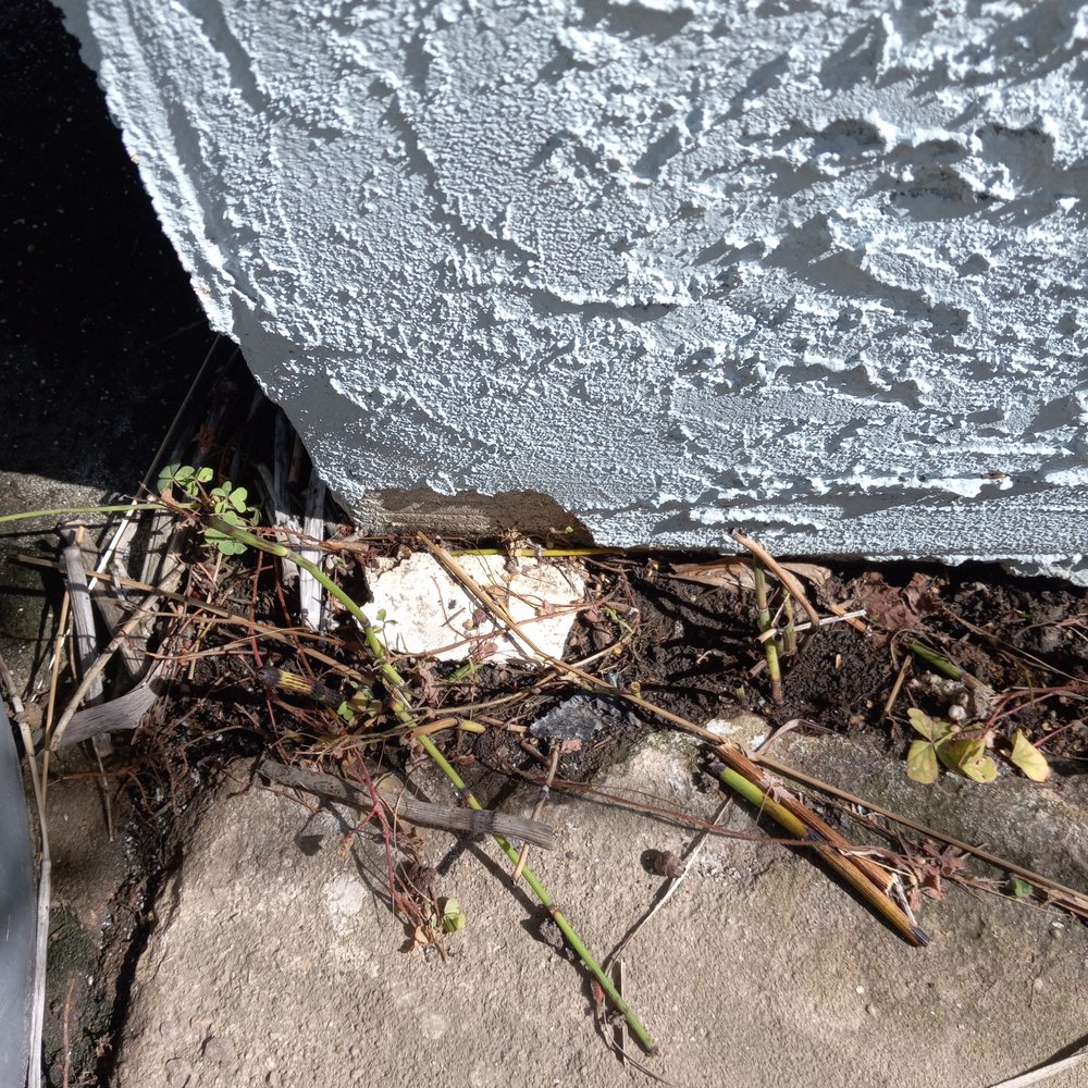 Best Choice Home Remodeling - Plant damage of Tex-Coat to be repaired. - Windows Installation Near Me - Poway, California Best Choice Home Remodeling - Plant damage of Tex-Coat to be repaired. - Windows Installation Near Me - Poway, California