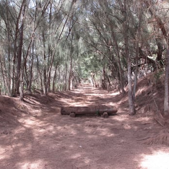 Maha'ulepu Beach - from the parking to the beach. - Beaches Near Me - Koloa, Hawaii