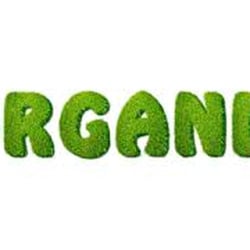 Rug Cleaner Staten Island - Organic Carpet and Rug Cleaning 718 502 9510
