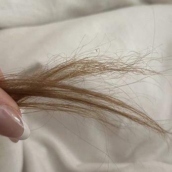 Strands Salon - Fried!!! Hairs are all curled up from the excessive heating. - Hair Salons Near Me - San Diego, California Strands Salon - Fried!!! Hairs are all curled up from the excessive heating. - Hair Salons Near Me - San Diego, California