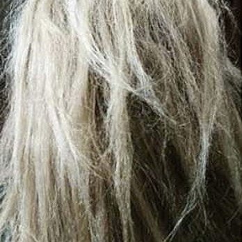 The Bright Beauty - BURNER HAIR / FRIED LITERALLY FALLING OUT BECAUSE OF ANNA AND 3 other STYLISTS - Hair Salons Near Me - Bronxville, New York