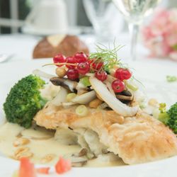 Walleye