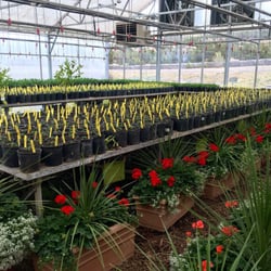 Conley's Nursery & Landscaping