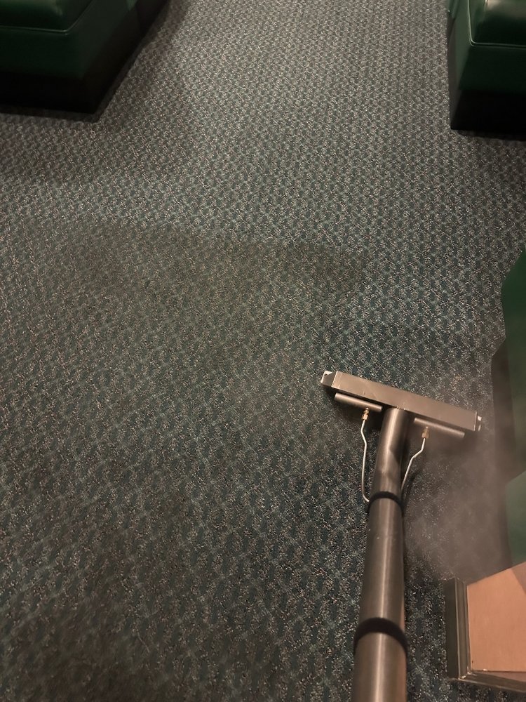 FIRST CLASS CARPET CARE 11 Photos Folsom, California Carpet