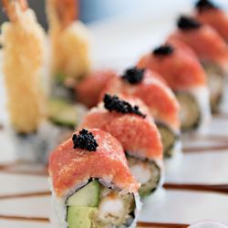 Wasabi Urbandale - Crouching Dragon
