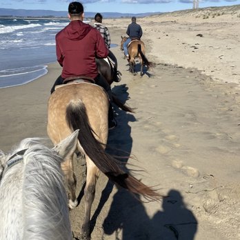 Monterey Bay Equestrian Center - Horseback Riding Near Me - Castroville, California Monterey Bay Equestrian Center - Horseback Riding Near Me - Castroville, California