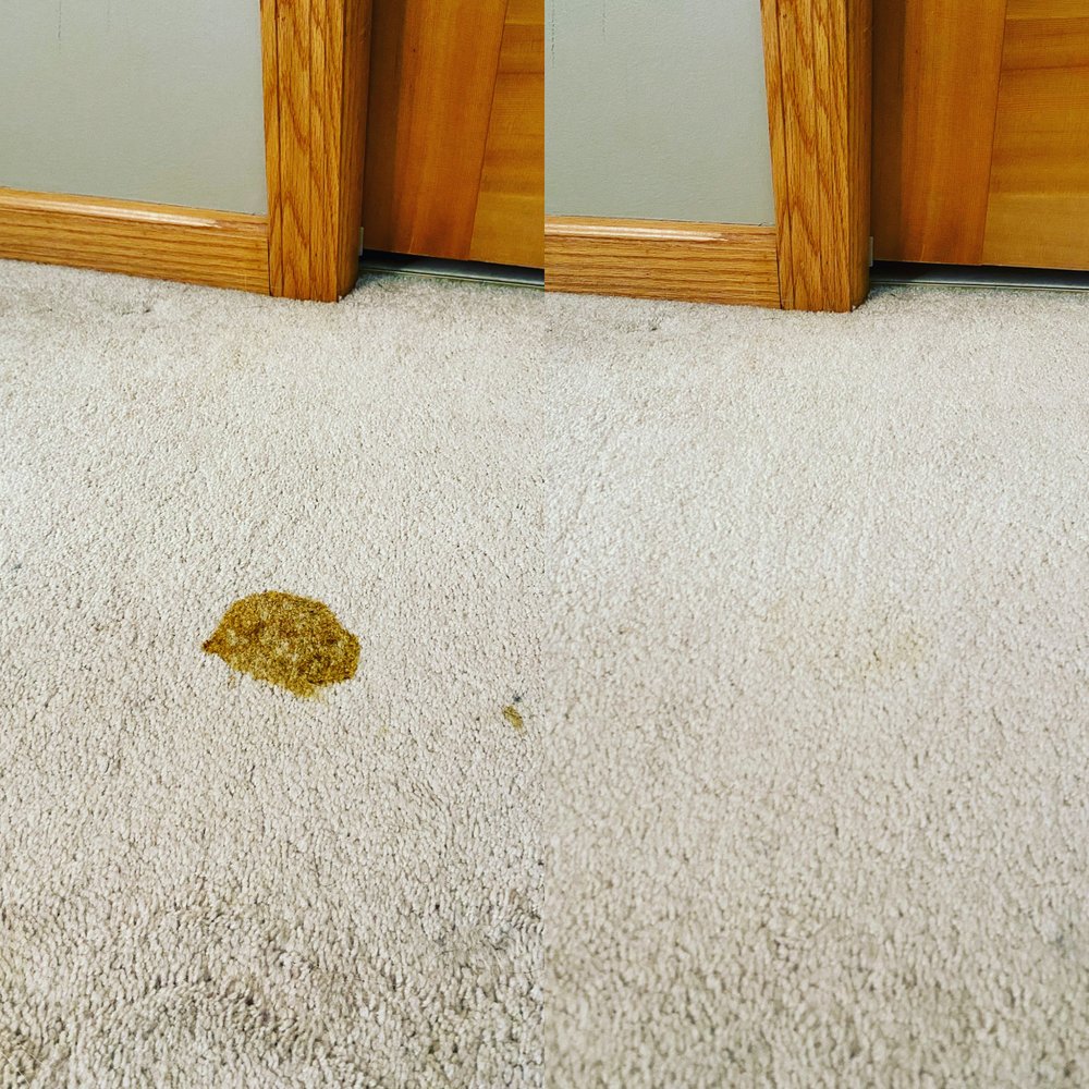 Hugo Clean - veterans service organization in Hugo, MN