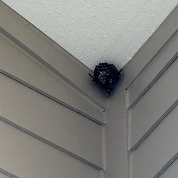 Prose On The Range - Wasp nest - Apartments Near Me - San Antonio, Texas Prose On The Range - Wasp nest - Apartments Near Me - San Antonio, Texas