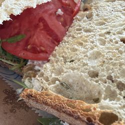 Black Market Bakers - Chicken salad on Rosemary Sourdough