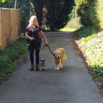 We Love Pets Maidstone - Leo and pepper get on so well! - Dog Walkers Near Me - Maidstone, KEN