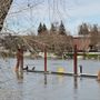 Photo of River Walk Park