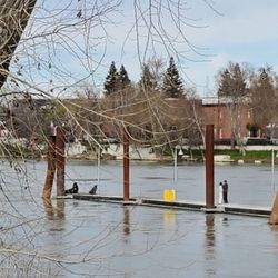 River Walk Park - Dock (sea lions at the end)
