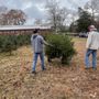 Photo of Lane's Grove Christmas Tree Farm