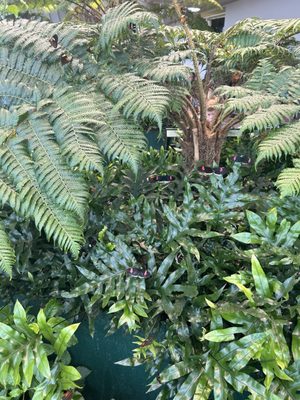 Audubon Insectarium by null