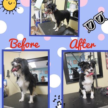 Pawsitive Karma - Pet Stores Near Me - Castro Valley, California