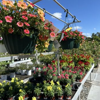 Your Farm & Garden - Nurseries & Gardening Near Me - Sarasota, Florida Your Farm & Garden - Nurseries & Gardening Near Me - Sarasota, Florida